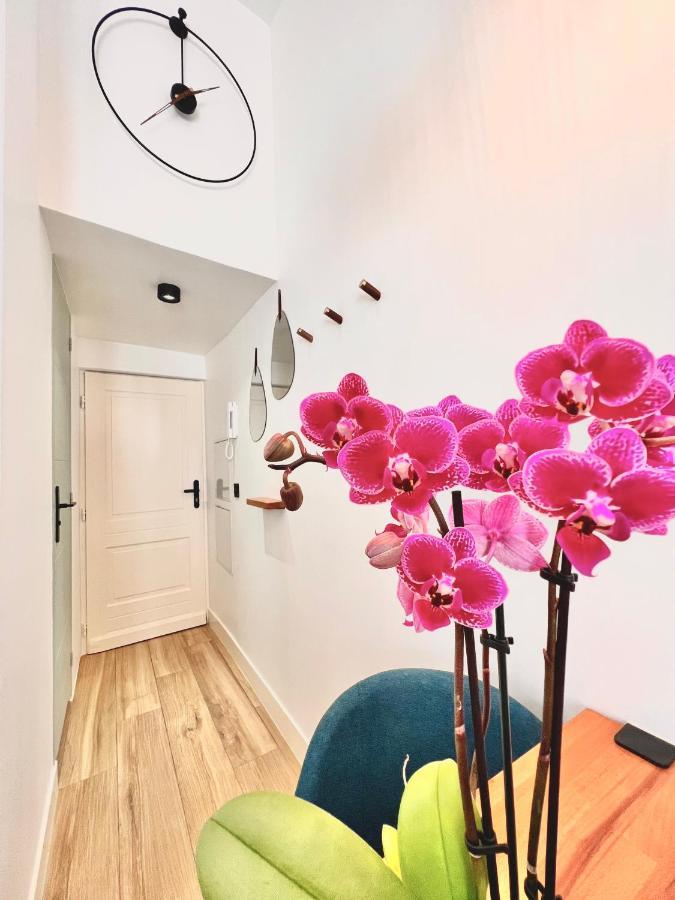 ニースDuplex Le Gesu - Heart Of Old Town - Modern - Wifi - Climアパートメント エクステリア 写真